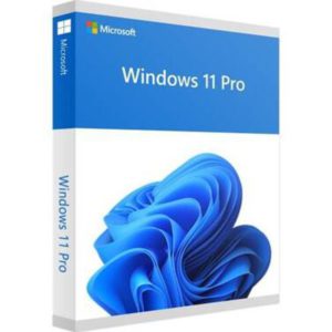 Microsoft FQC-10528 Windows 11 Pro 64 Bit, 1 Pack, DSP OEM DVD